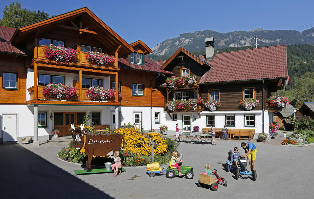 Linharterhof Villa Haus im Ennstal Bagian luar foto